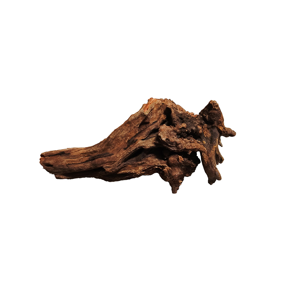 Korzeń Drift Wood Naturalna Ozdoba Dekoracja do Akwarium S 15-25cm